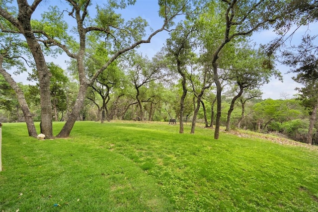 7800 Aspen Highlands Dr, Austin, TX 78746 - view of green lawn