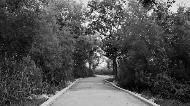 7901 Donnelley Dr, Austin, TX 78744 - view of road featuring curbs and a view of trees