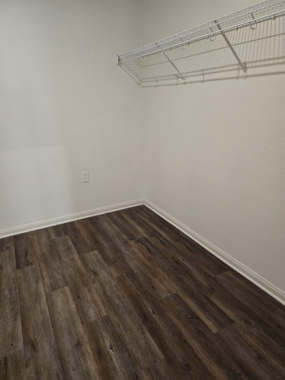 1337 Violet Ln, Kyle, TX 78640 - spacious closet featuring dark wood-type flooring