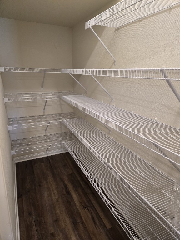 1337 Violet Ln, Kyle, TX 78640 - view of pantry