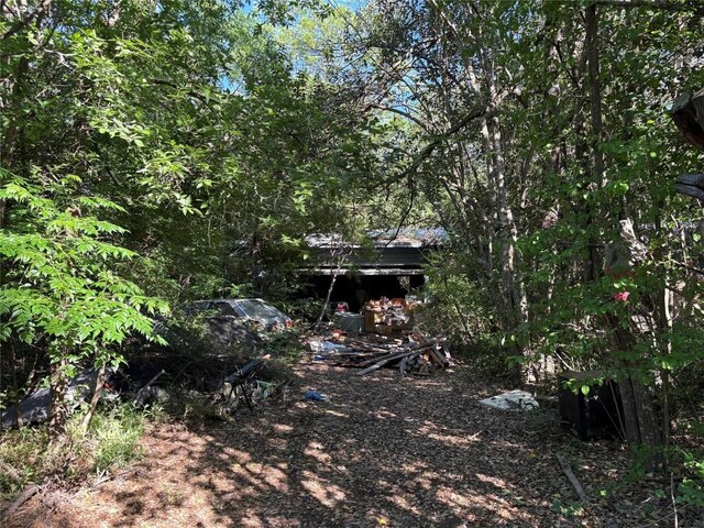 8611 Leo St, Austin, TX 78745 - view of yard