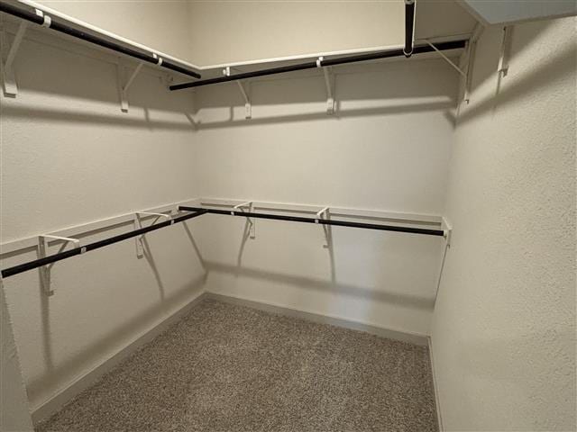 115 Big Cypress Bayou Rd, Hutto, TX 78634 - walk in closet featuring carpet floors