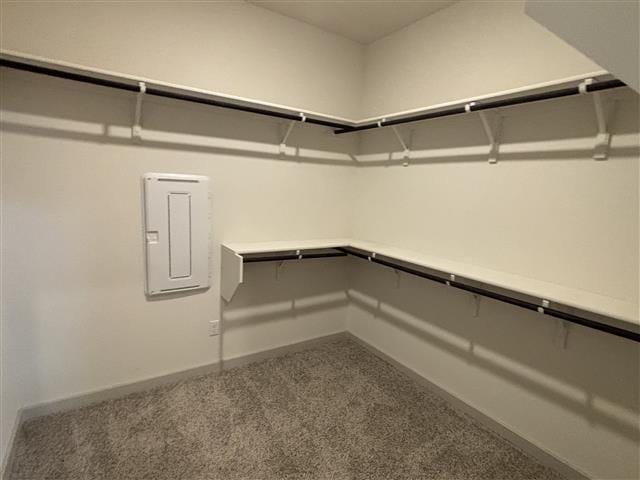 115 Big Cypress Bayou Rd, Hutto, TX 78634 - walk in closet with electric panel and carpet floors
