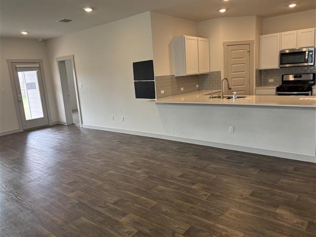 115 Big Cypress Bayou Rd, Hutto, TX 78634 - kitchen featuring appliances with stainless steel finishes, a sink, dark wood-style flooring, and recessed lighting