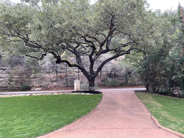 view of property's community with a yard