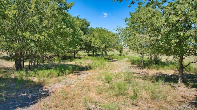 view of landscape