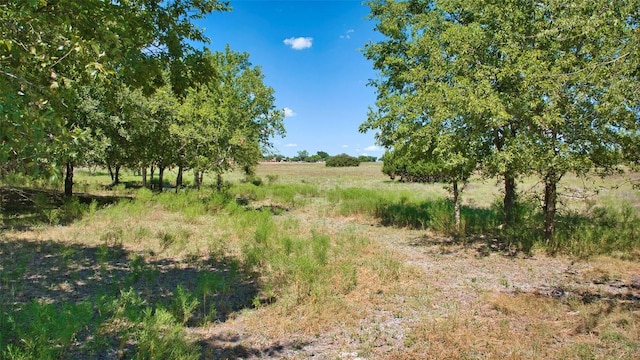 view of landscape