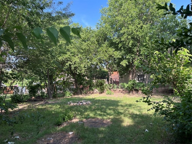 5611 Joe Sayers Ave, Austin, TX 78756 - view of grassy yard