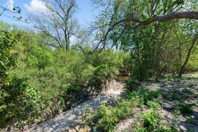 view of nature with a wooded view