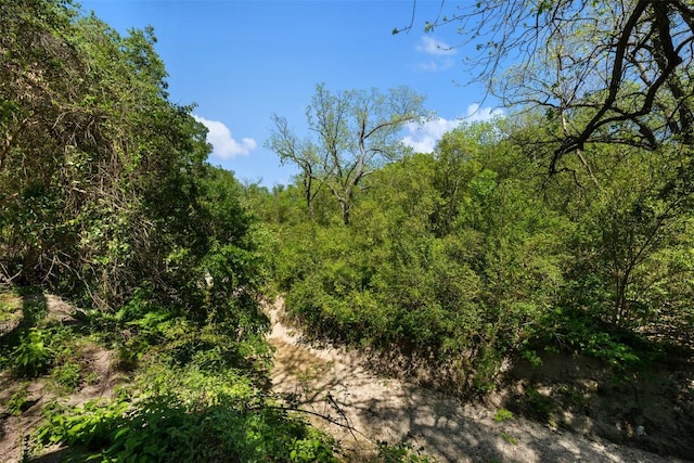 view of nature with a view of trees