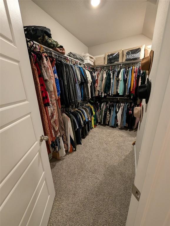 spacious closet featuring carpet flooring