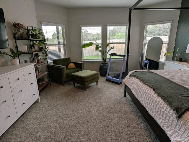 bedroom with light colored carpet and multiple windows