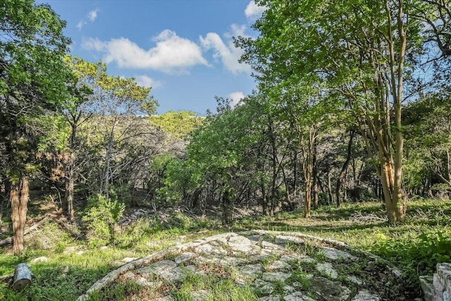 505 Newhall Cv, Austin, TX 78746 - view of tree filled area