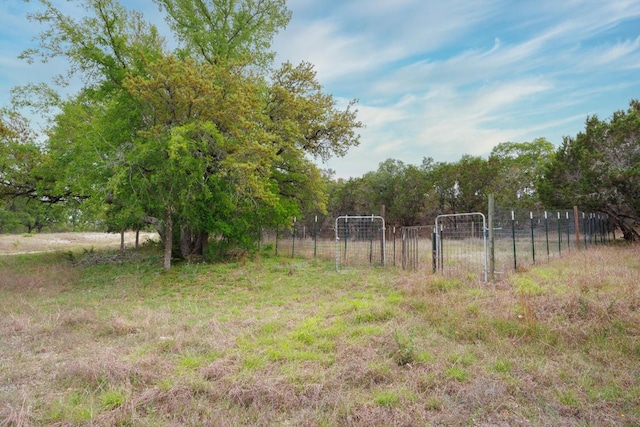 3487 Rust, Spring Branch, TX 78070 - view of yard