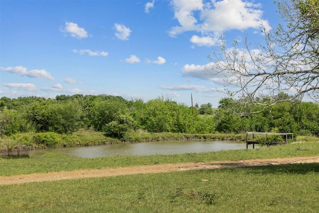 1727 Fm 2503, Fayetteville, TX 78940 - property view of water