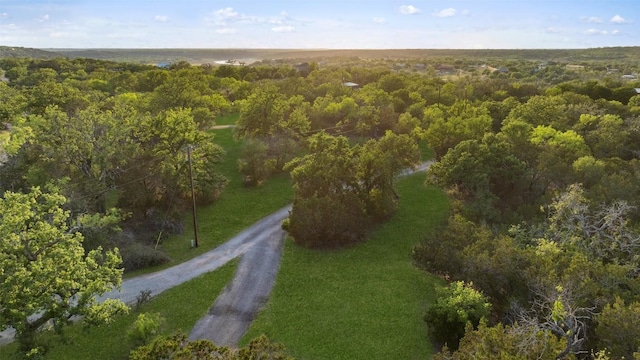 bird's eye view featuring a forest view
