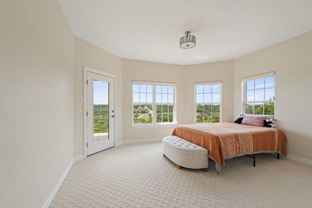 3207 Crystal Falls Pkwy, Leander, TX 78641 - bedroom with baseboards, light colored carpet, multiple windows, and access to exterior