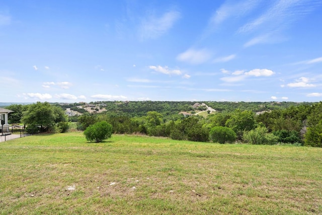 3207 Crystal Falls Pkwy, Leander, TX 78641 - view of yard featuring fence