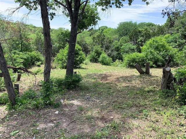 1605 Brushy View Cv, Austin, TX 78754 - photo 1