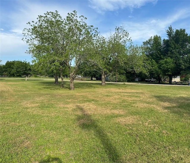 TBD Caldwell St, Lexington, TX 78947