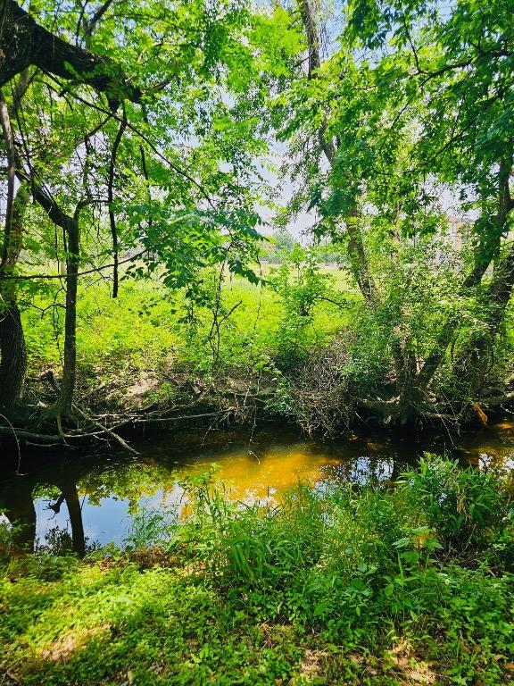 view of nature