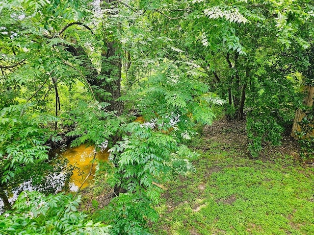 view of nature with a forest view