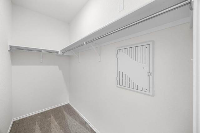 121 Coastal Way, Georgetown, TX 78628 - walk in closet featuring carpet floors