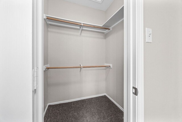 walk in closet with carpet flooring