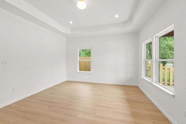 empty room with a raised ceiling, light wood-style flooring, and plenty of natural light