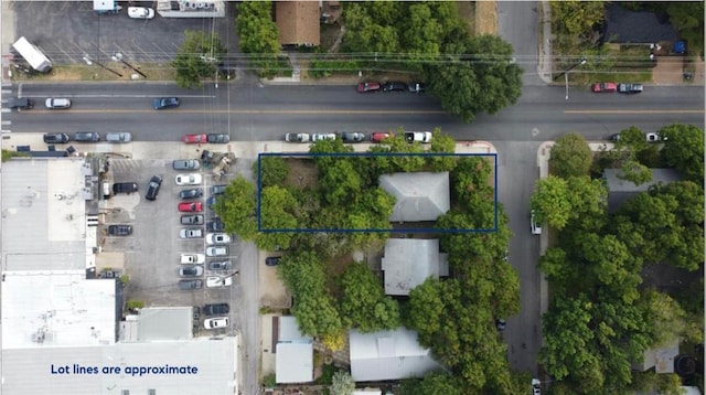 1711 Eva St, Austin, TX 78704 - birds eye view of property