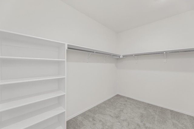 walk in closet featuring carpet