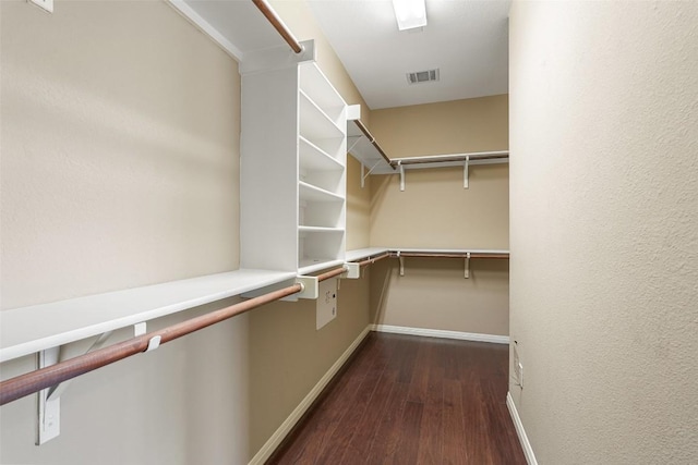 2213 Settlers Park Loop, Round Rock, TX 78665 - walk in closet featuring dark wood-type flooring