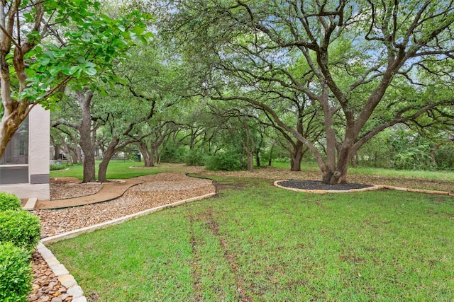 204 San Saba Dr, Georgetown, TX 78633 - view of yard