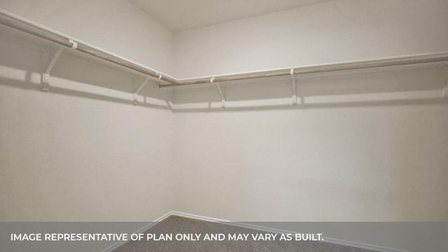 walk in closet with carpet floors
