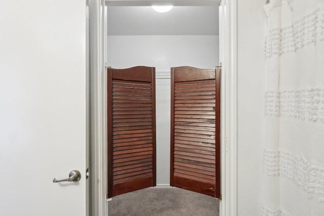 interior details with carpet flooring