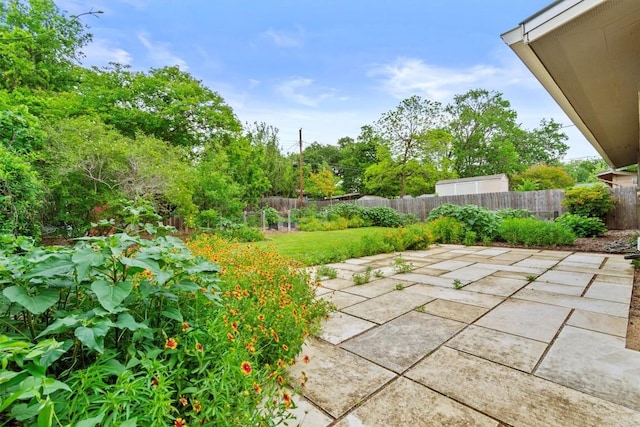 view of yard with a fenced backyard and a patio area