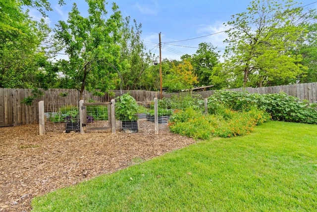 view of yard featuring a garden and a fenced backyard