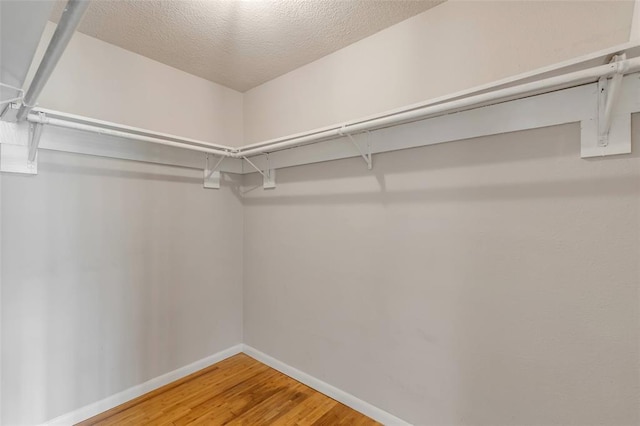 spacious closet featuring wood finished floors
