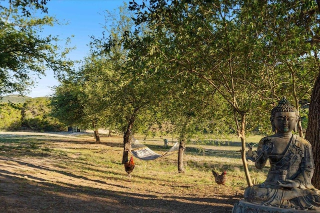 19801 Adrian Way, Jonestown, TX 78645 - view of yard