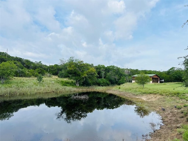 19801 Adrian Way, Jonestown, TX 78645 - photo 39