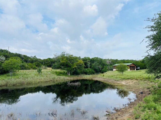 19801 Adrian Way, Jonestown, TX 78645 - photo 40