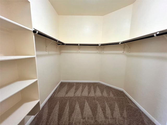 1404 Elbe St, Pflugerville, TX 78660 - spacious closet with carpet