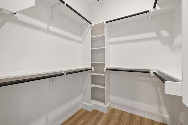 590 Old Mill Rd Unit 113, Cedar Park, TX 78613 - spacious closet featuring light wood-style floors