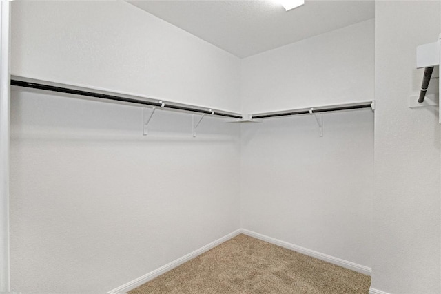 spacious closet with carpet flooring