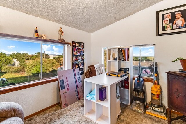 288 Ballard St, Tow, TX 78672 - carpeted home office with a textured ceiling and lofted ceiling