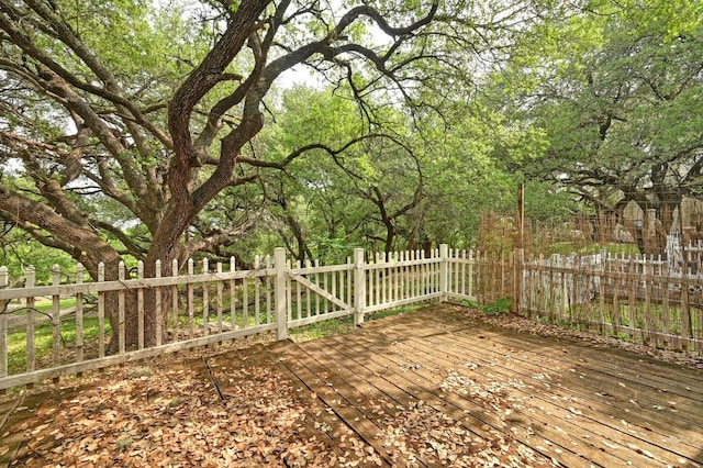 1815 River Crossing Cir Unit A, Austin, TX 78741 - view of deck
