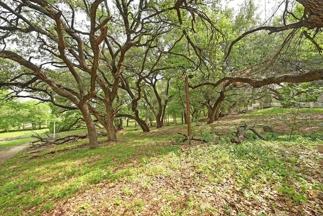 1815 River Crossing Cir Unit A, Austin, TX 78741 - view of yard