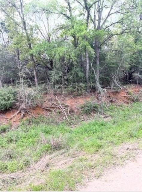 LOT755 Bali Hai Ln, Bastrop, TX 78602