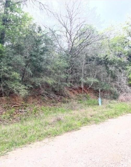 LOT755 Bali Hai Ln, Bastrop, TX 78602