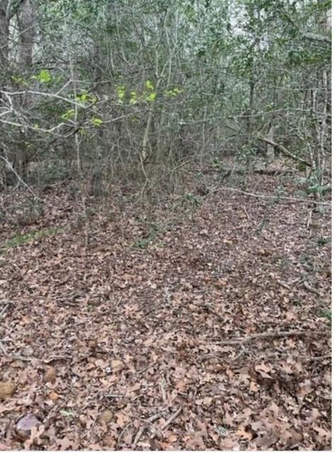 LOT755 Bali Hai Ln, Bastrop, TX 78602
